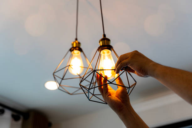 Best Local Electrician Companies  in Summerville, SC